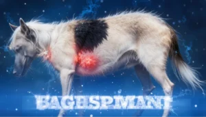 Bauchschmerzen beim Hund Symptome, Ursachen und Lösungen für Hilfe